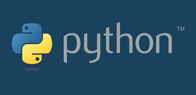 The Rising Popularity of Python