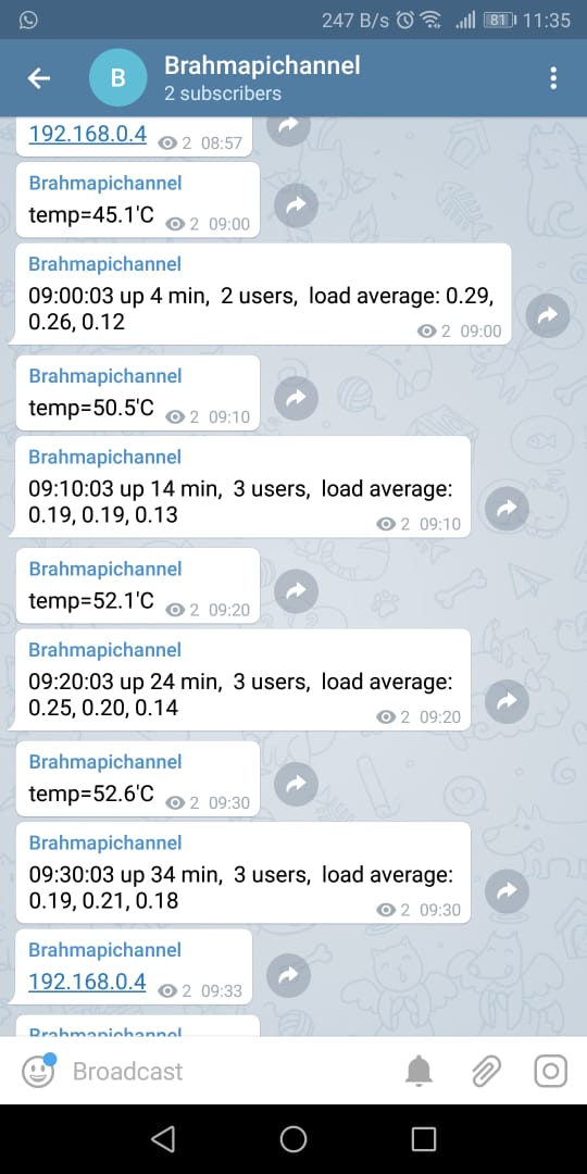 telegram channel raspberry pi ip address and temprature