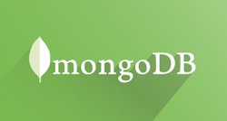 Using MongoDB in Python Django Application